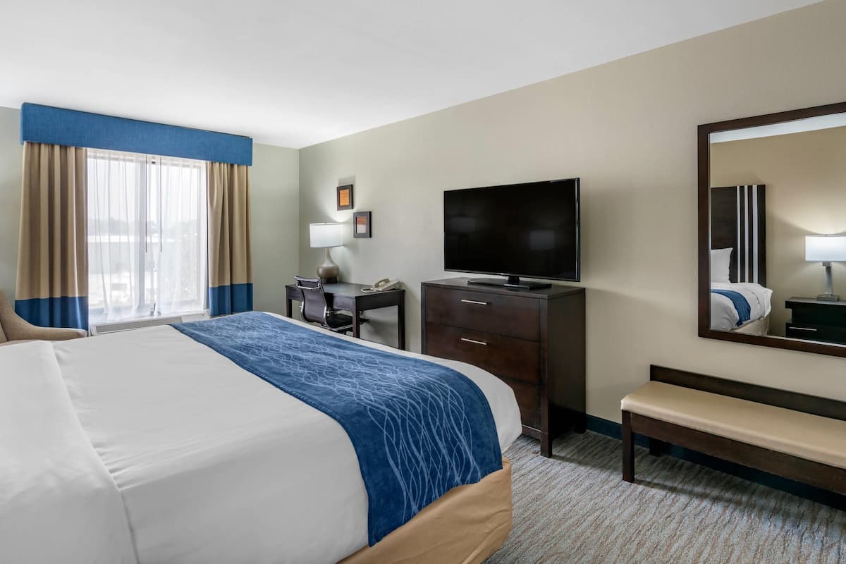 Standard Room, 1 King Bed, Non Smoking