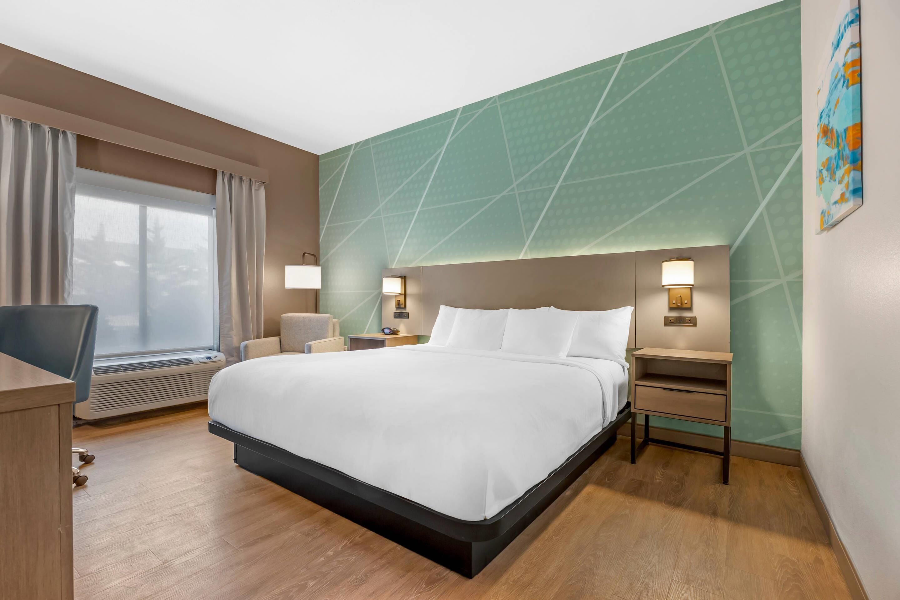 Room, 1 King Bed, Accessible, Non Smoking