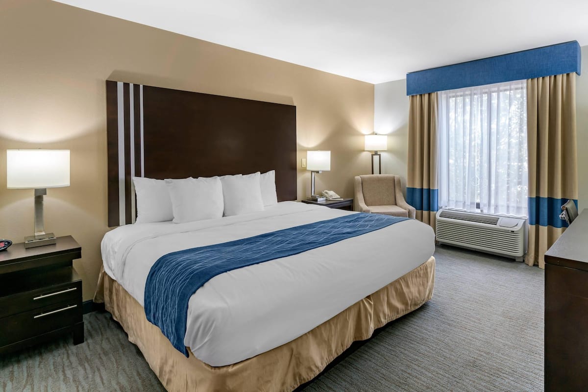 Room, 1 King Bed, Accessible, Non Smoking | Desk, iron/ironing board, free cots/infant beds, free WiFi
