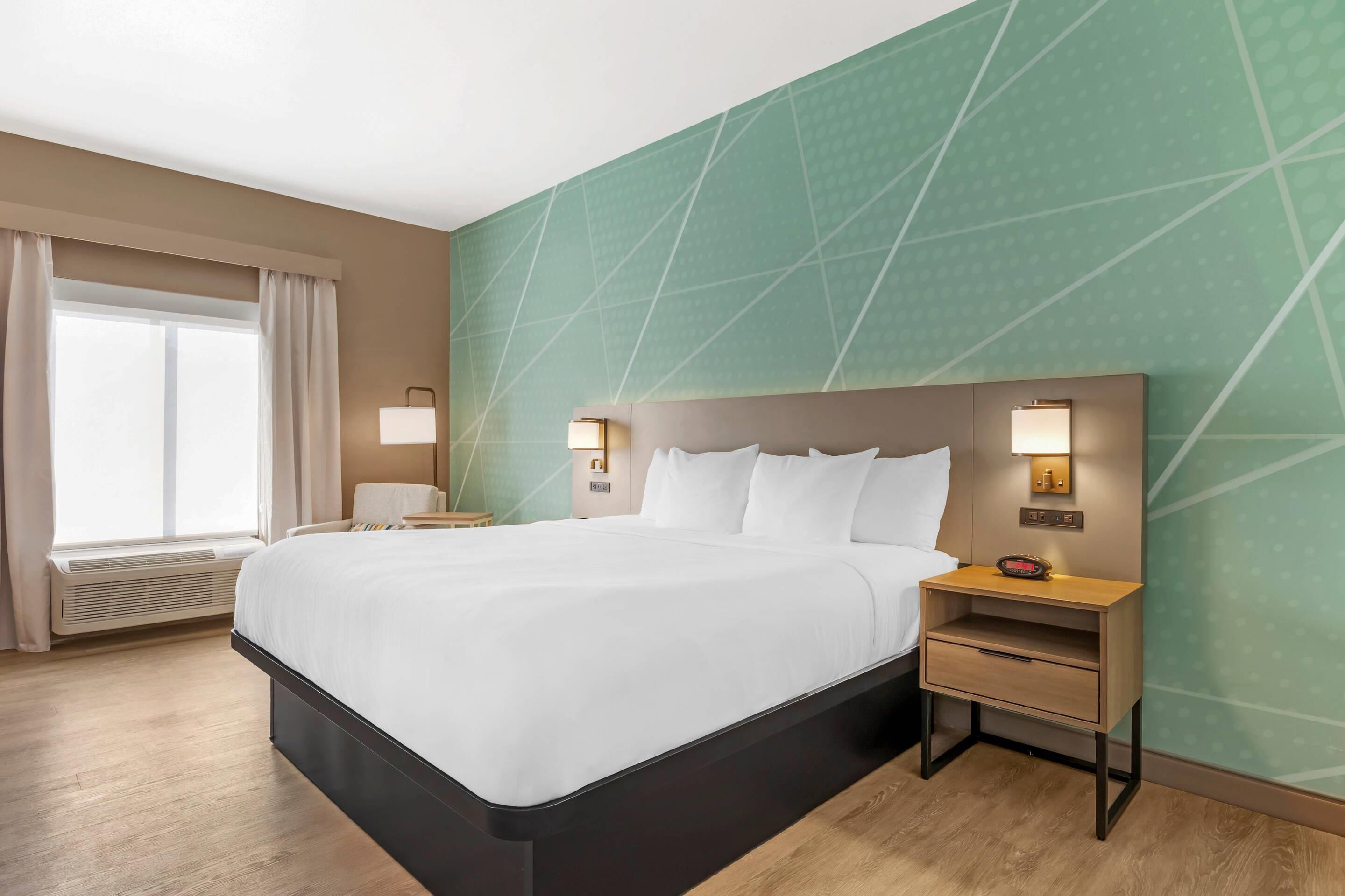 Room, 1 King Bed, Non Smoking (Pet Friendly)