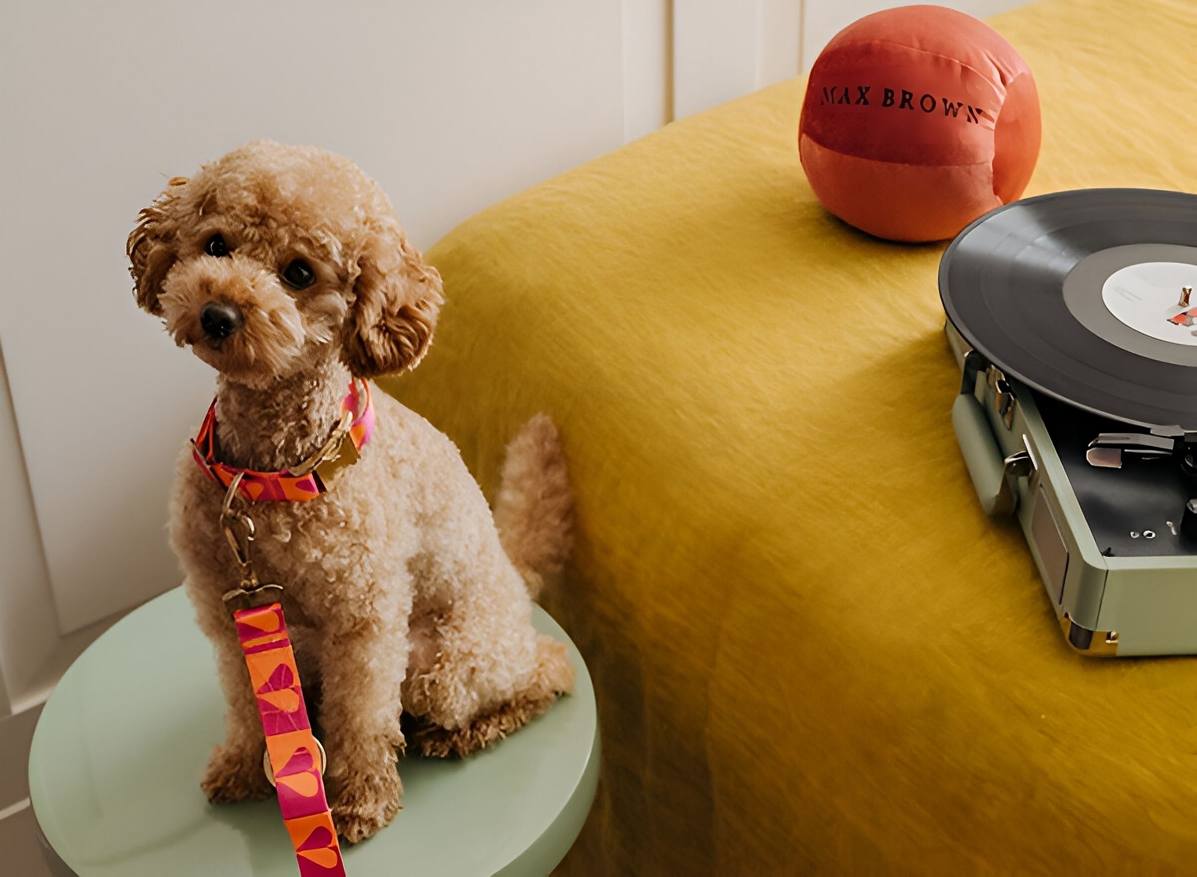 tiny room | 1 bedroom, premium bedding, down duvets, memory-foam beds