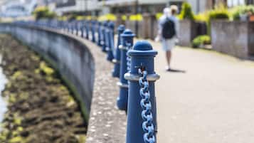 A row of blue bollards along a waterfront promenade.