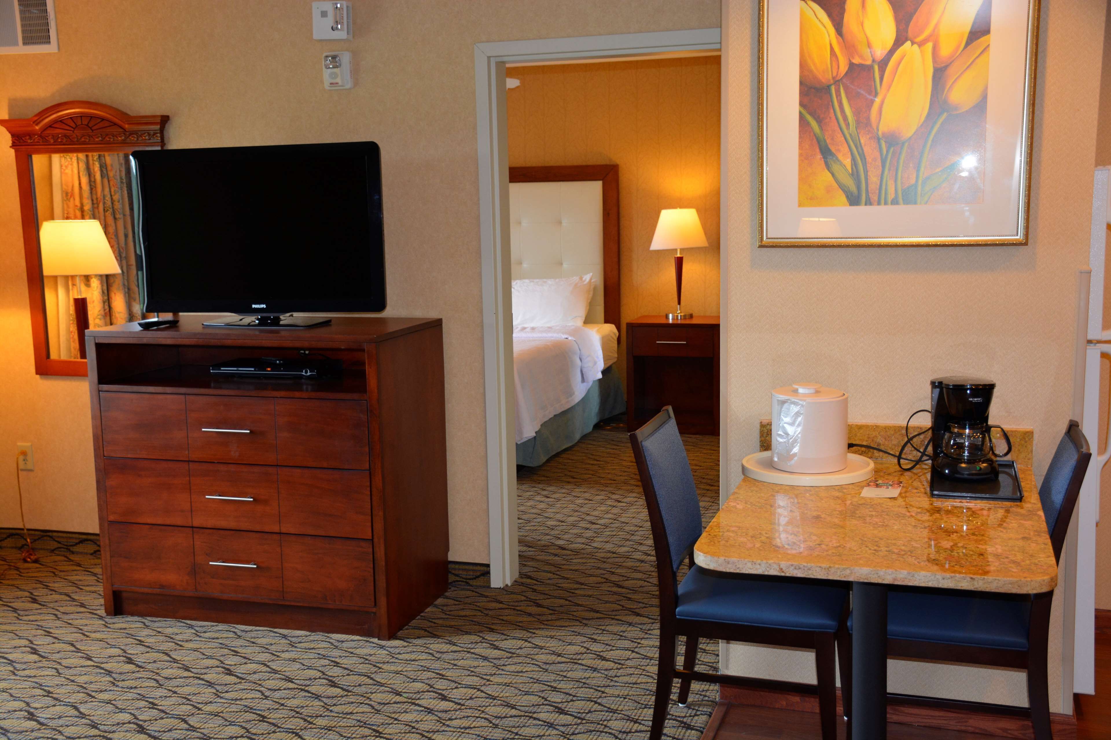 suite, 1 king bed with sofa bed, accessible (roll-in shower) | living area | 40-inch tv with cable channels