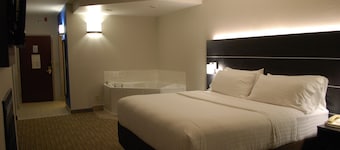 Holiday Inn Express Hotel and Suites Kingsport by IHG