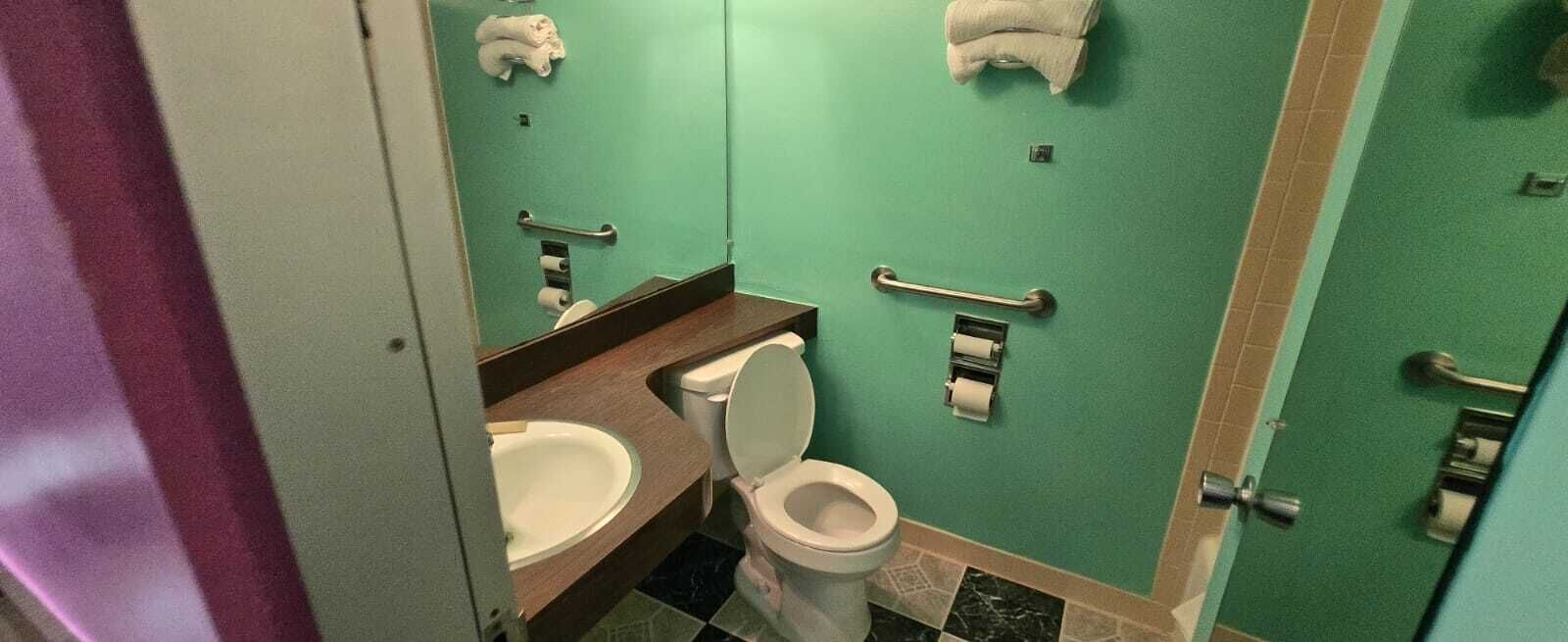 Une salle de bain équipée de toilettes, d’un lavabo et de barres d’appui.