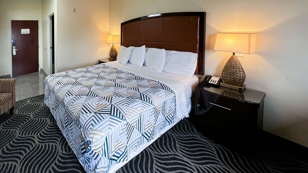 A hotel room with a large bed, a nightstand with a lamp, and a zebra-patterned carpet.