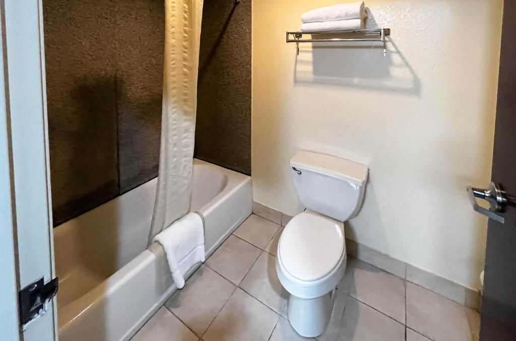 Combined shower/tub, free toiletries, hair dryer, towels