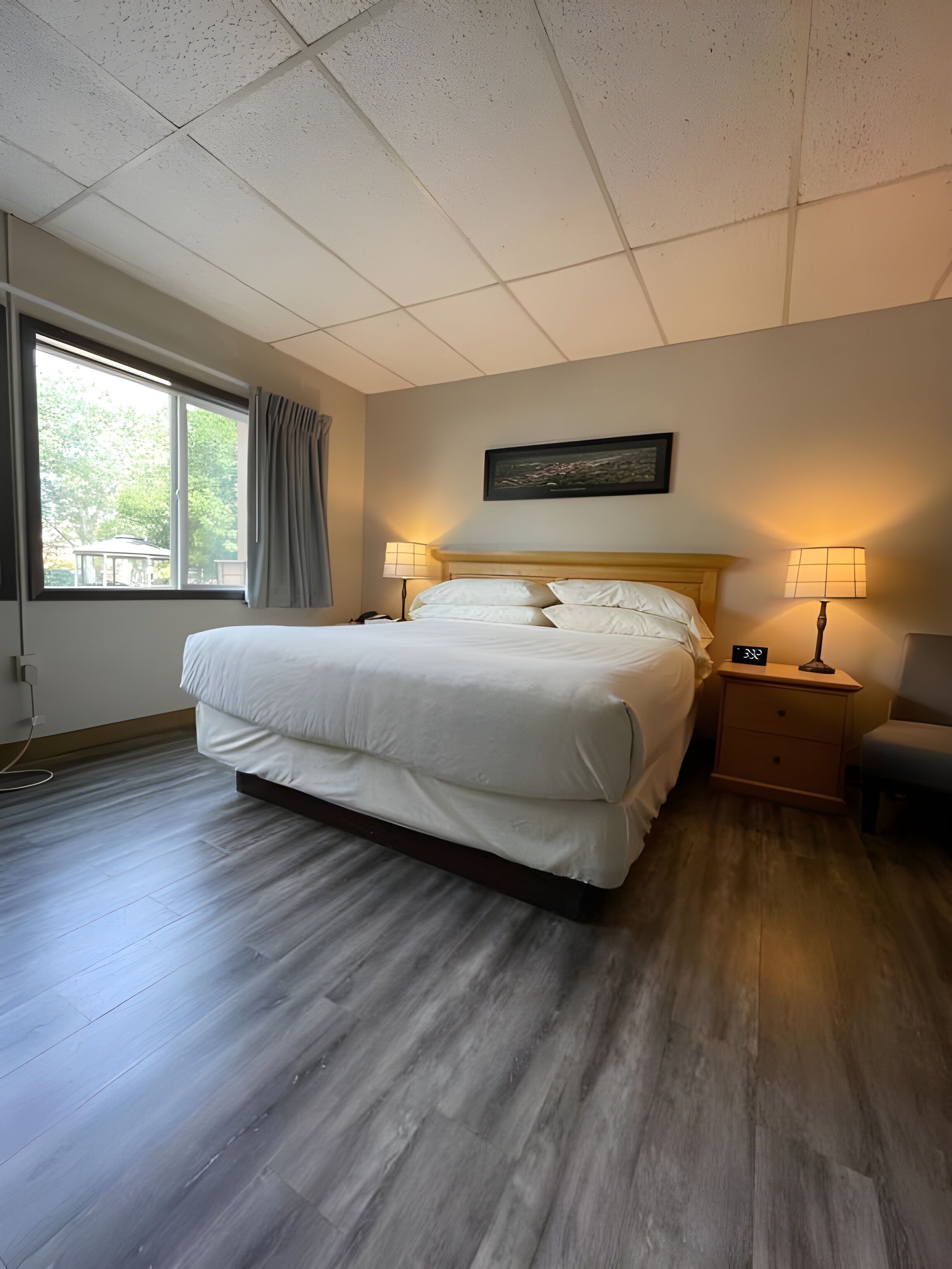 premium bedding, down duvets, in-room safe, desk