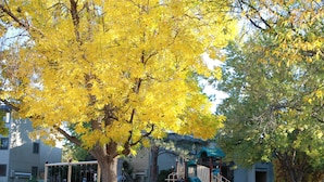 Un parque infantil con toboganes y columpios, rodeado de árboles con hojas amarillas.