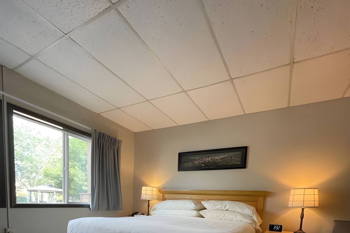 Premium bedding, down comforters, in-room safe, desk