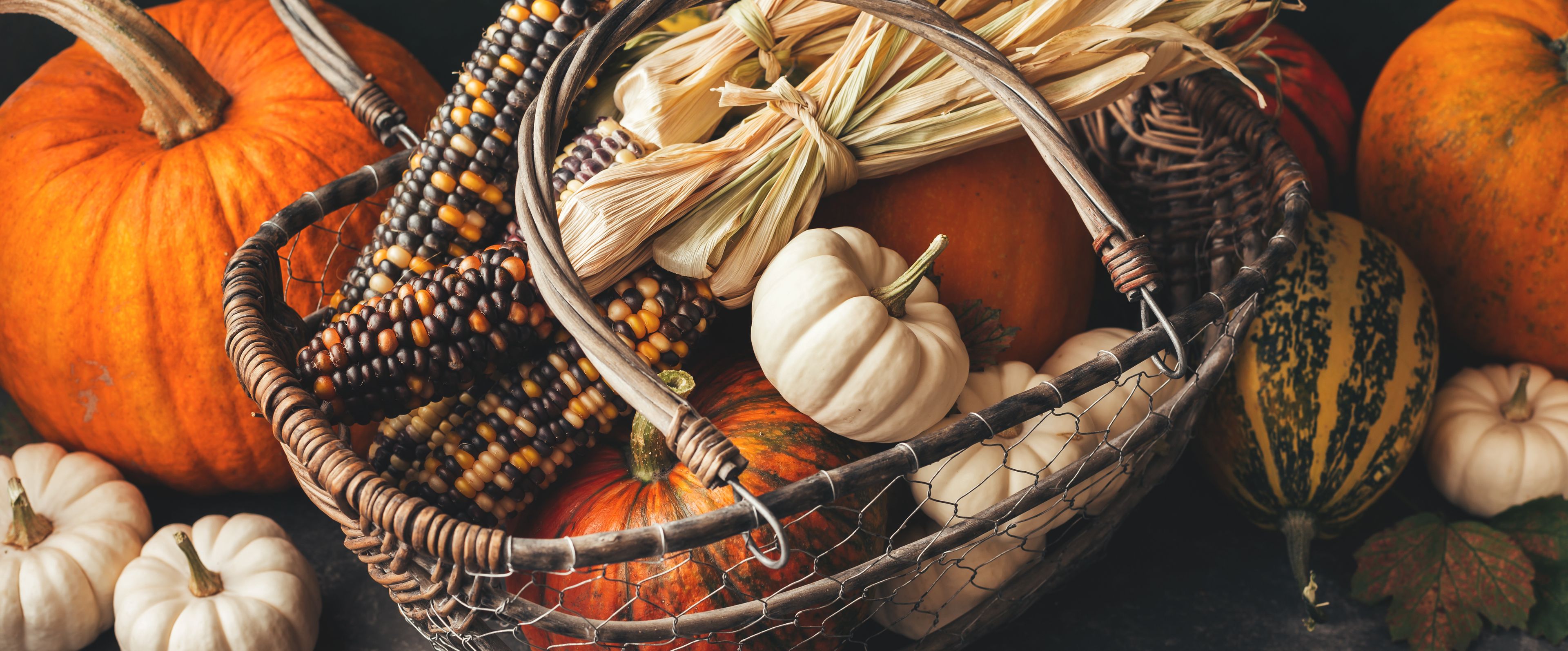 A basket filled with pumpkins and gourds.