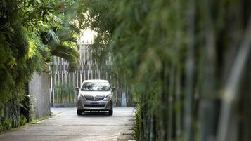 A car driving down a tree-lined road.