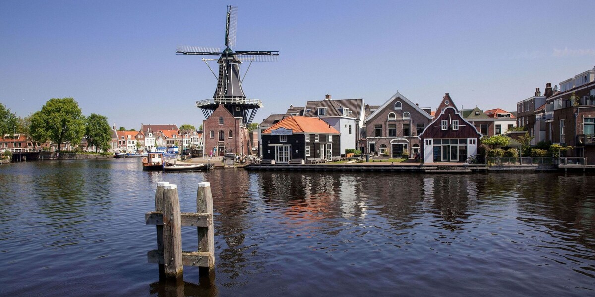 haarlem group bookings