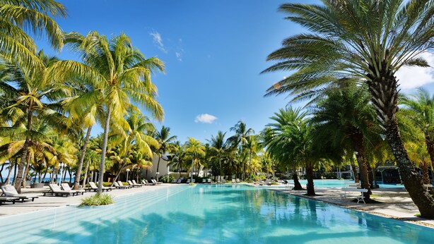 Una piscina rodeada de palmeras y sillas de descanso.
