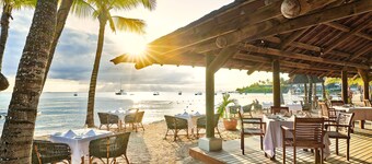 The Ravenala Attitude