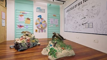 An exhibit with life cycle diagrams and turtle models.
