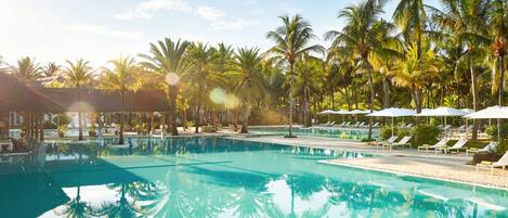 A clear swimming pool surrounded by palm trees and sun loungers.