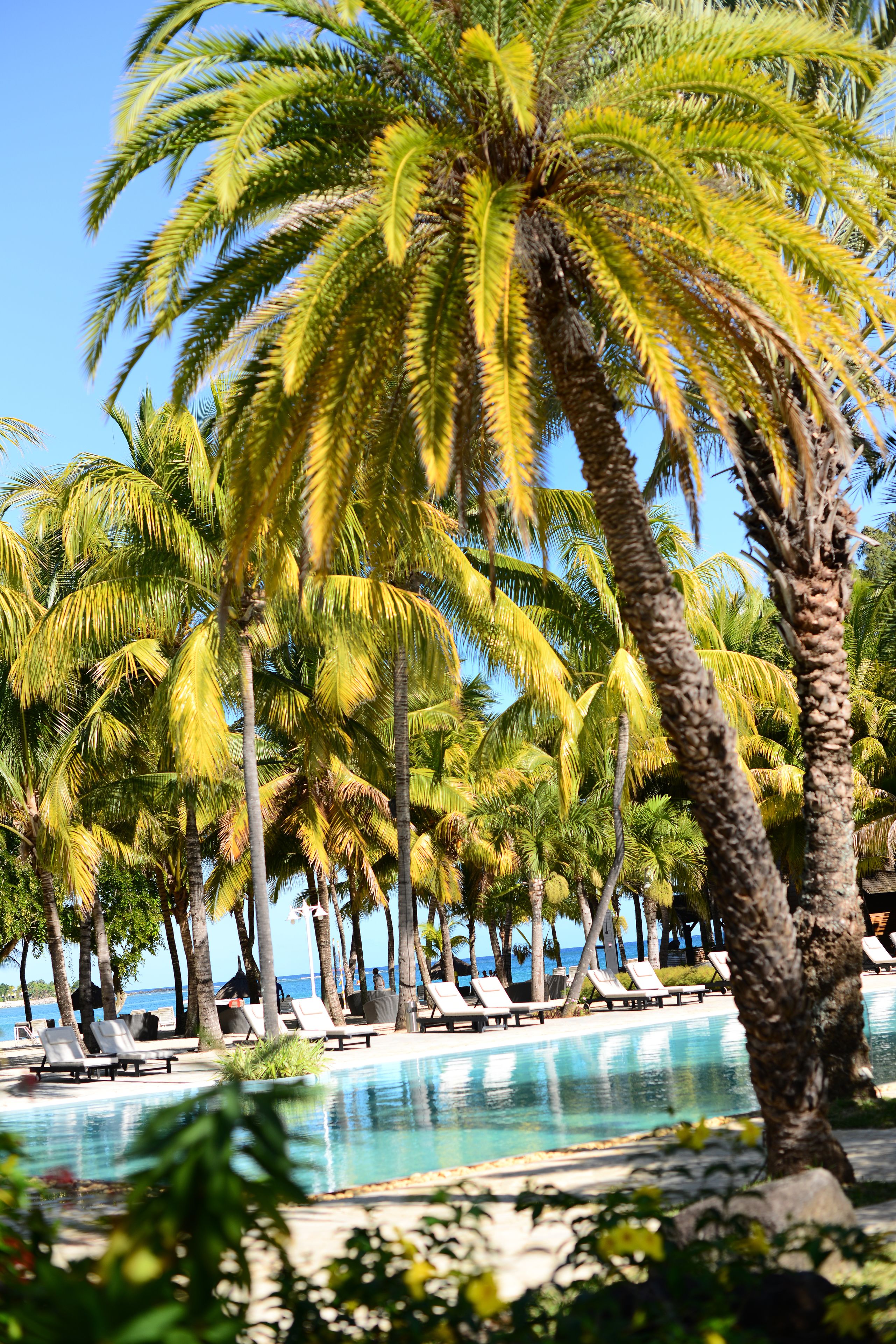 outdoor pool, pool umbrellas, pool loungers