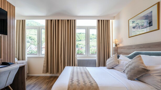 Een hotelkamer met een bed, bureau en uitzicht op groen.