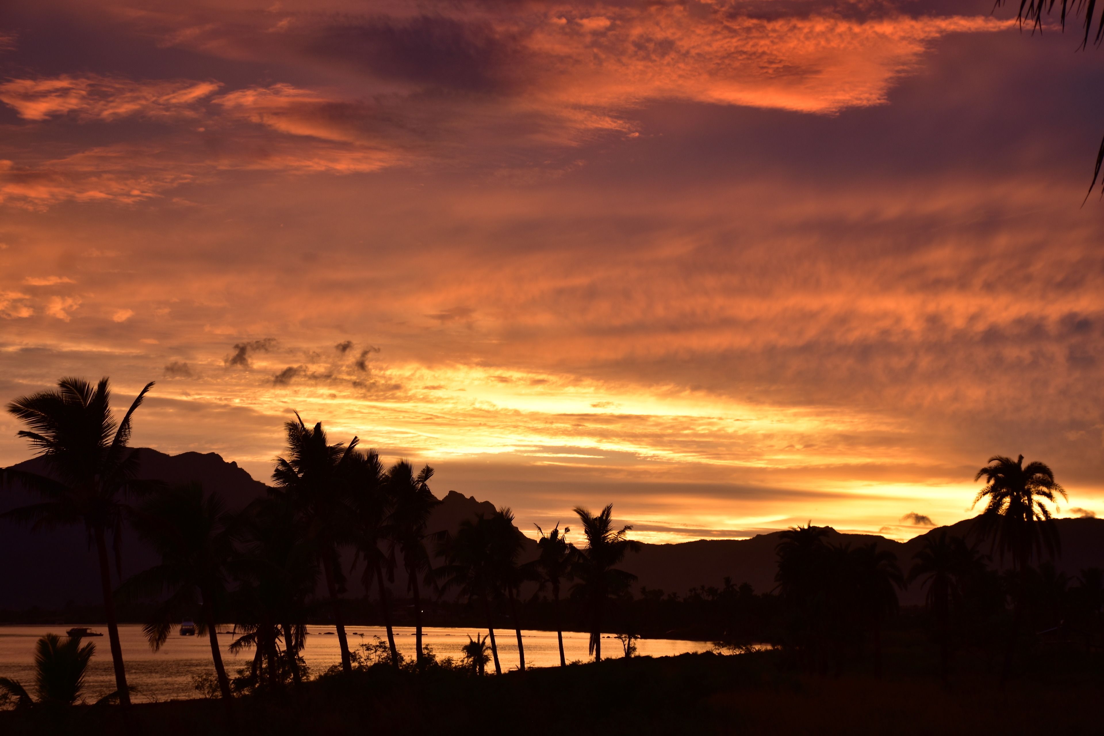 A sunset over a coastal landscape with palm trees silhouetted against the sky.