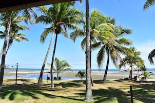 Vista de playa con palmeras y una estructura de techo de paja.
