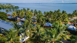 A coastal area with multiple houses surrounded by palm trees and a view of the sea.