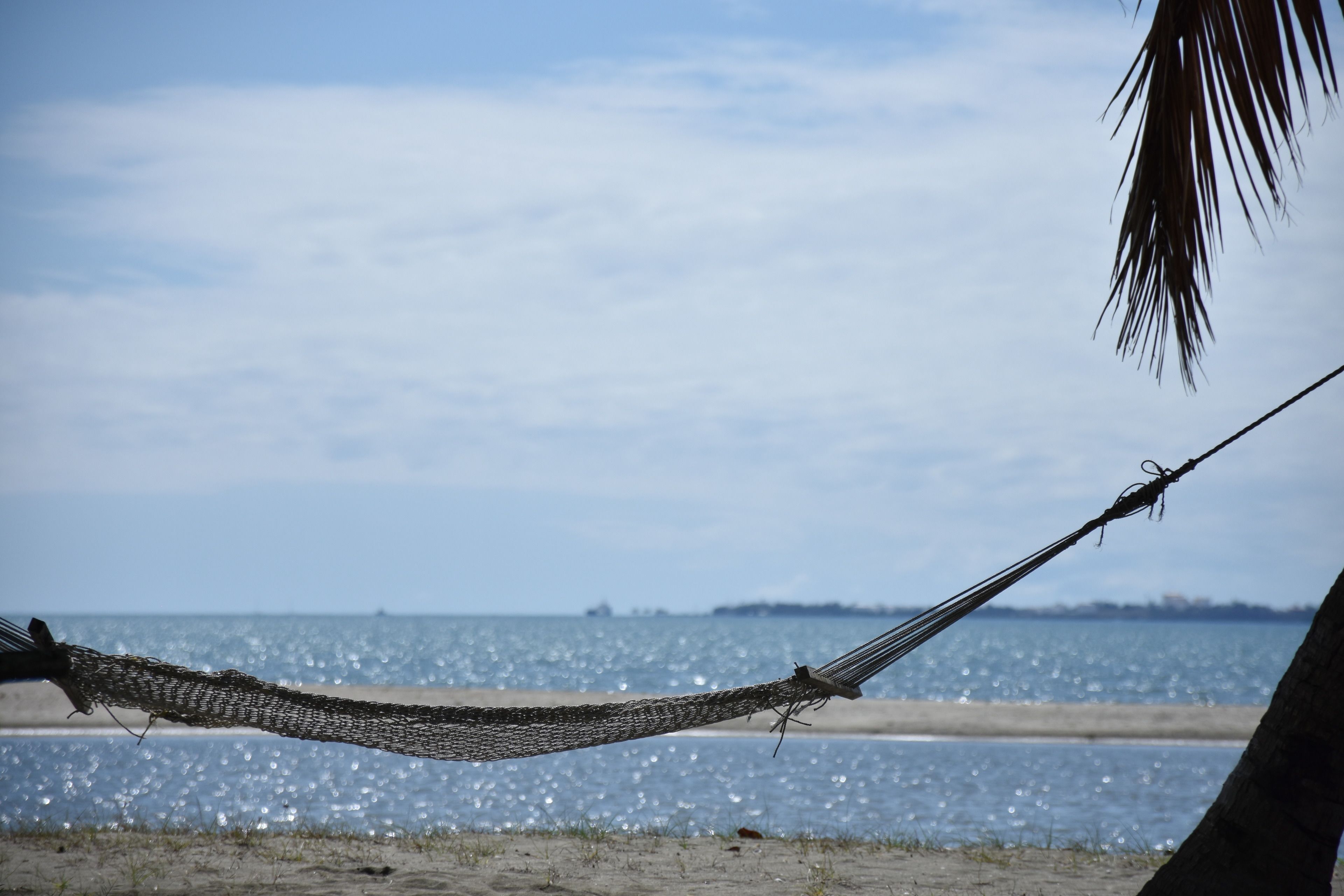 A hammock tied between two trees on a beach with a view of the ocean.