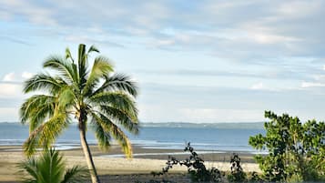 Una playa con palmeras y vista al océano.
