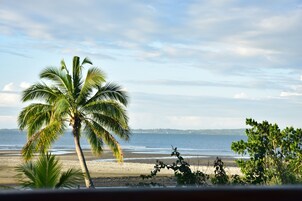 Una playa con palmeras y vista al océano.