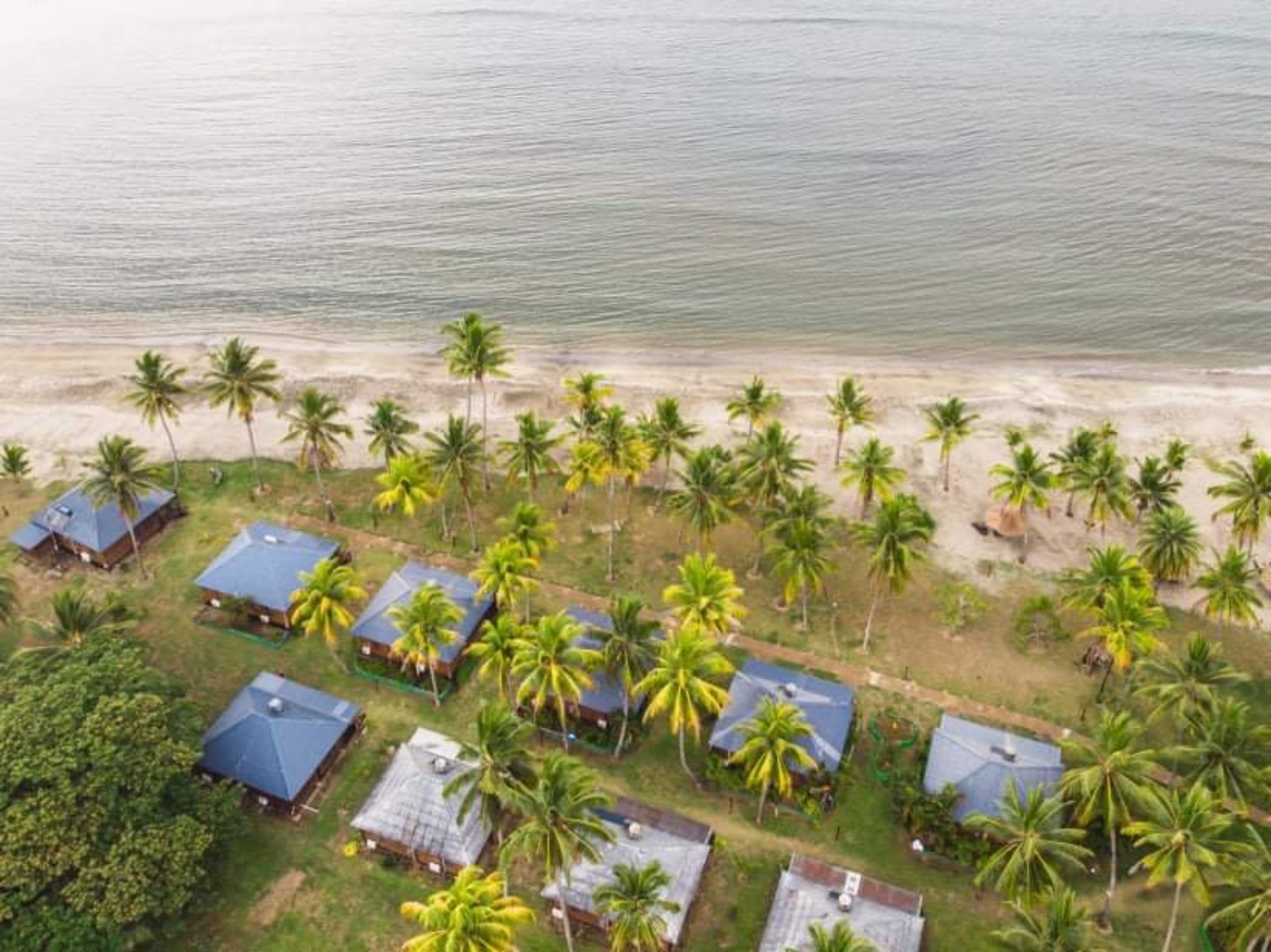 An aerial view of a beachside resort with multiple bungalow-style accommodations, palm trees, and a sandy beach.