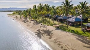A beach with palm trees and beach huts.