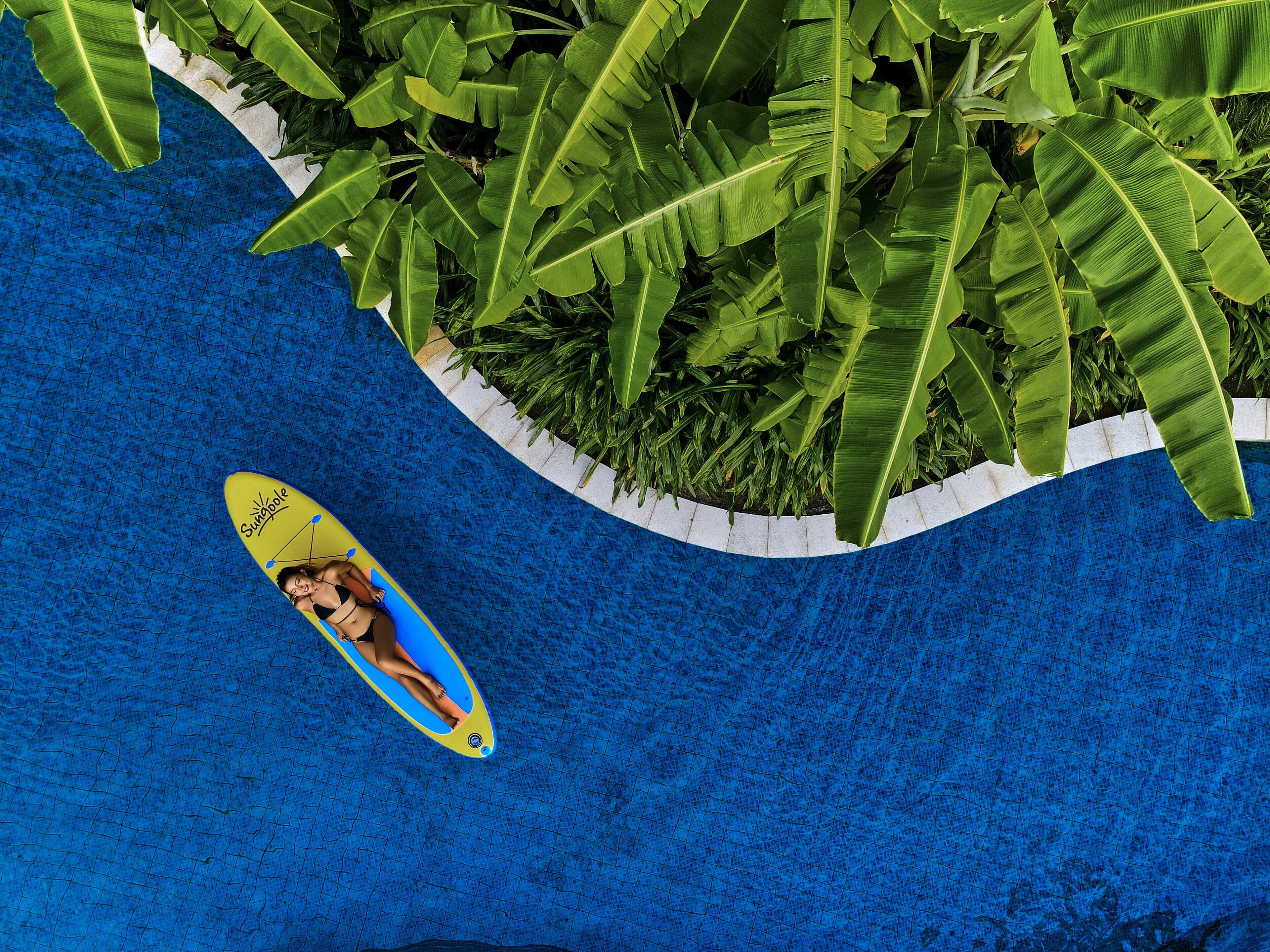 Kayak