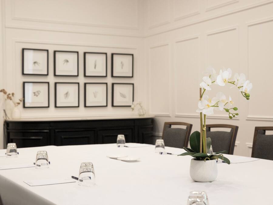 Un salón de conferencias con una mesa blanca, sillas, cuadros en la pared y una orquídea en maceta.