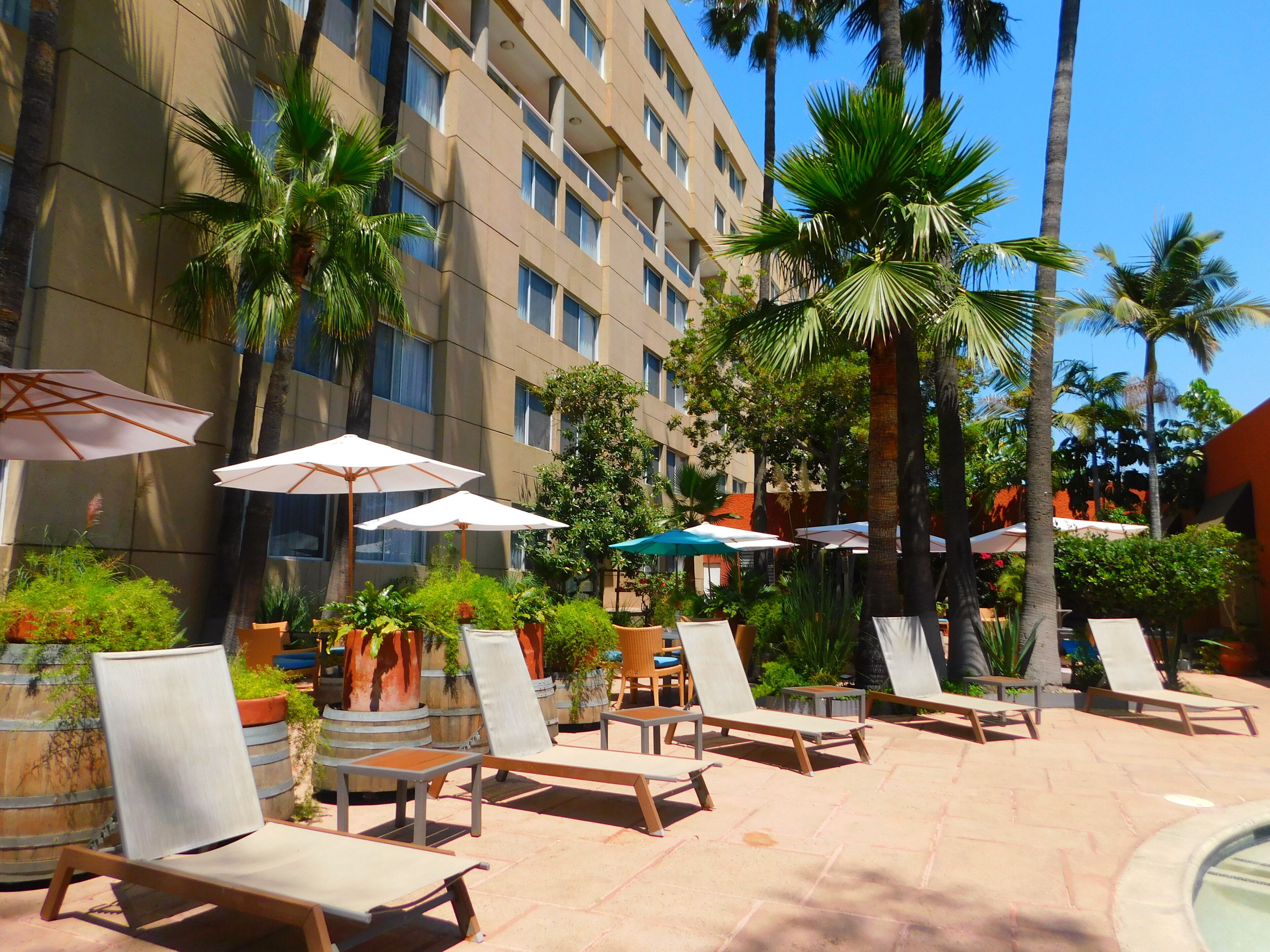 A hotel courtyard with lounge chairs and umbrellas, surrounded by palm trees and potted plants.