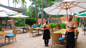 An outdoor dining area with wicker chairs and tables, covered by umbrellas, and surrounded by palm trees.