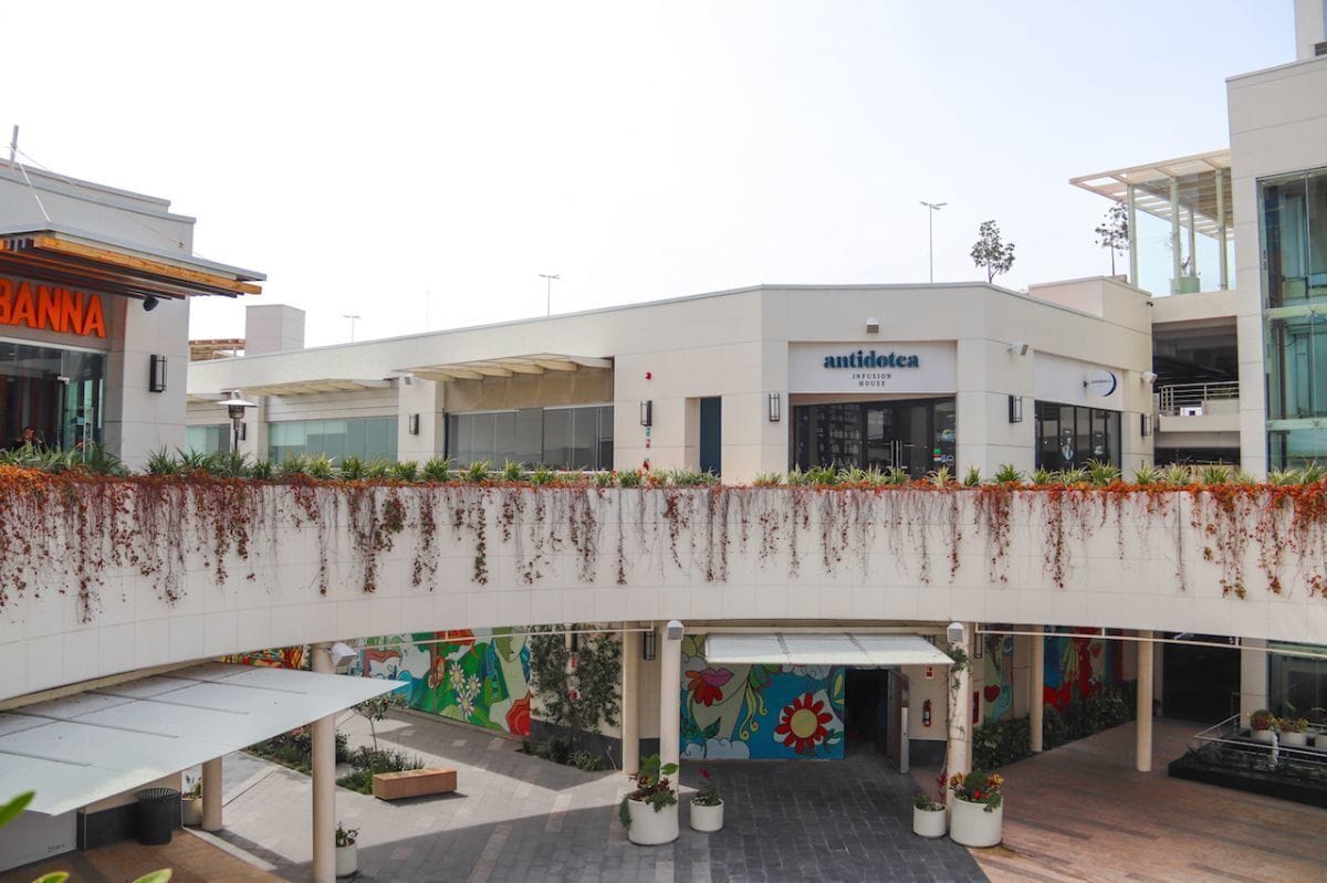 Un edificio moderno con fachada blanca, un letrero que dice 'antidotea' y una galería cubierta con plantas en macetas.