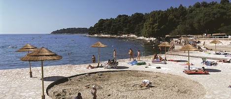 Plage, chaises longues, parasols, beach-volley