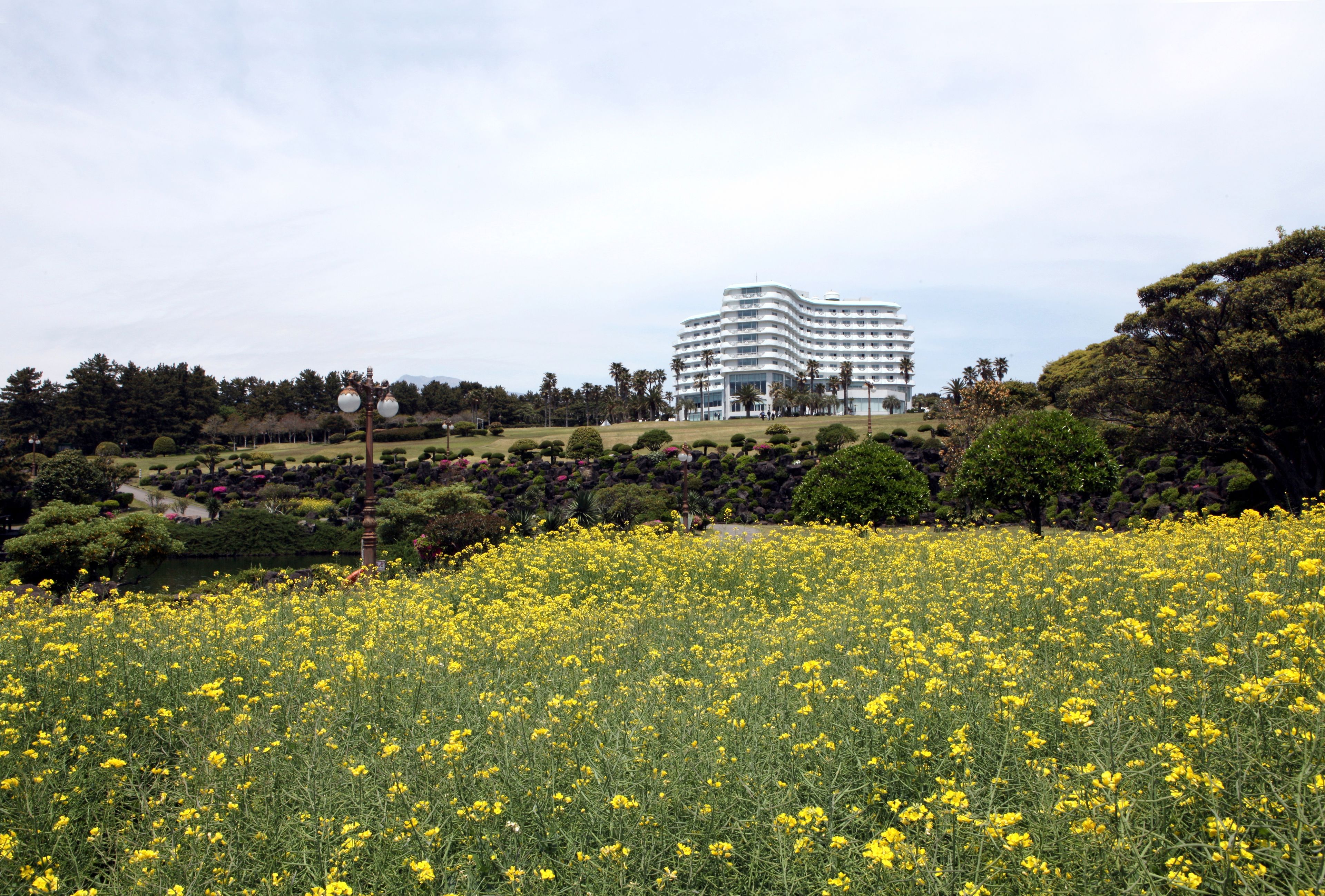Ein Hotel mit modernem Design, umgeben von einem gepflegten Garten und einem Feld gelber Blumen.