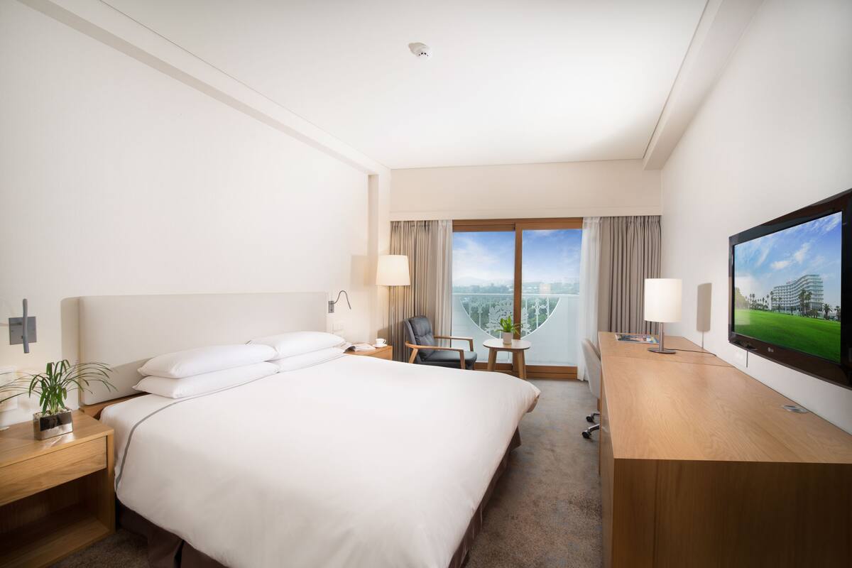 A hotel room with a large bed, a desk with a TV, a chair, a small table with a plant, and a view of the city.