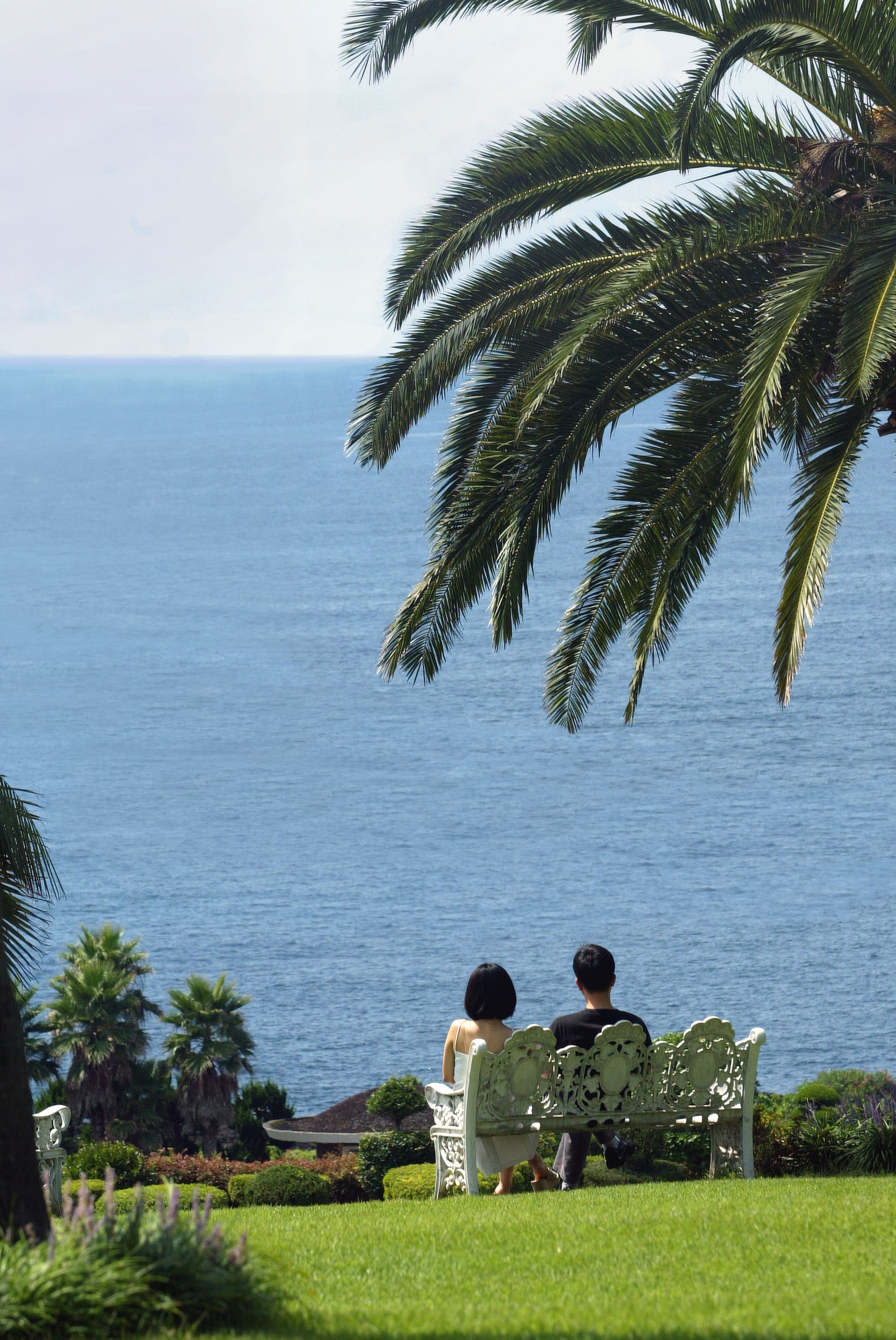 Un banco con dos personas sentadas mirando al mar, rodeado de follaje y palmeras.