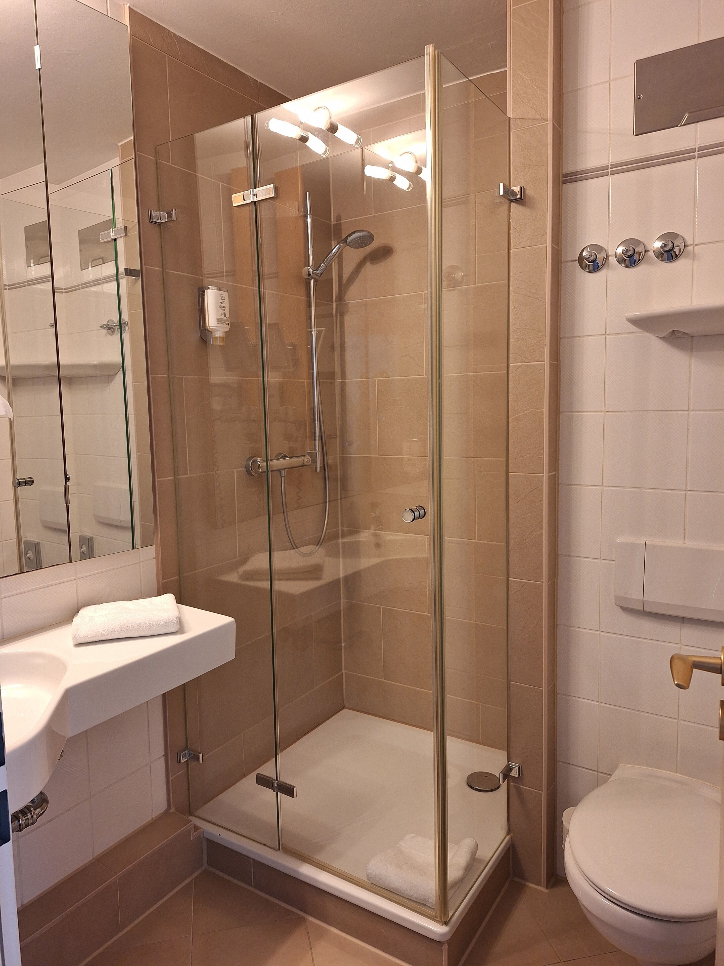 A modern bathroom with a glass-enclosed shower, a white sink, and a toilet.