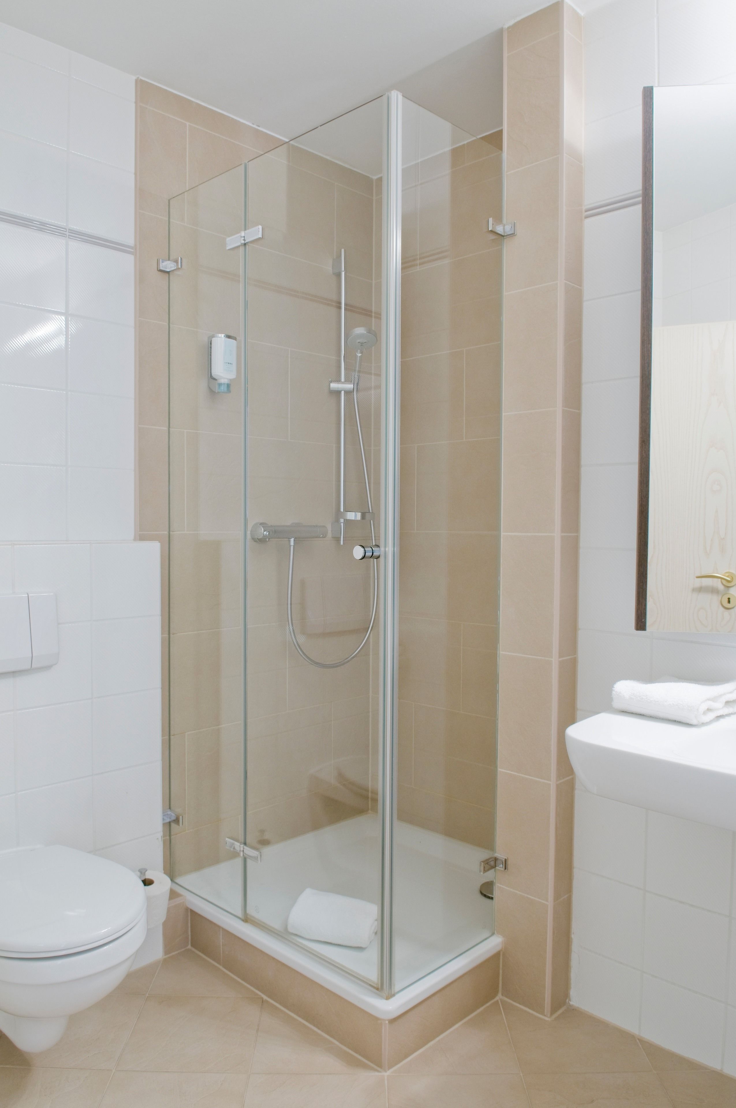 Ein modernes Badezimmer mit einer Duschkabine aus Glas, einer Toilette und einem Waschbecken.