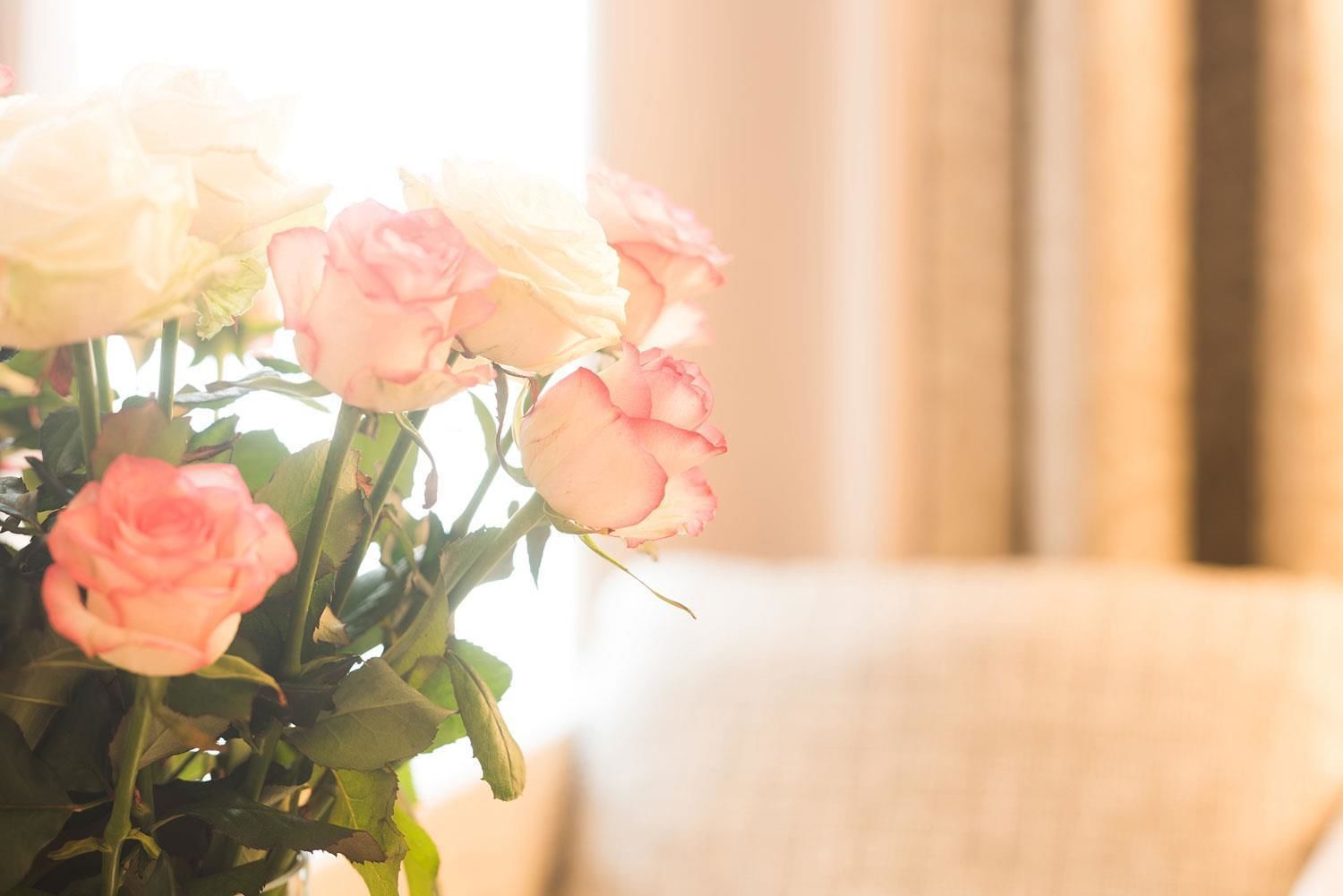 junior suite | business centre