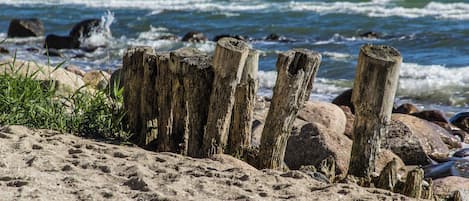 Una playa arenosa con postes de madera y rocas.