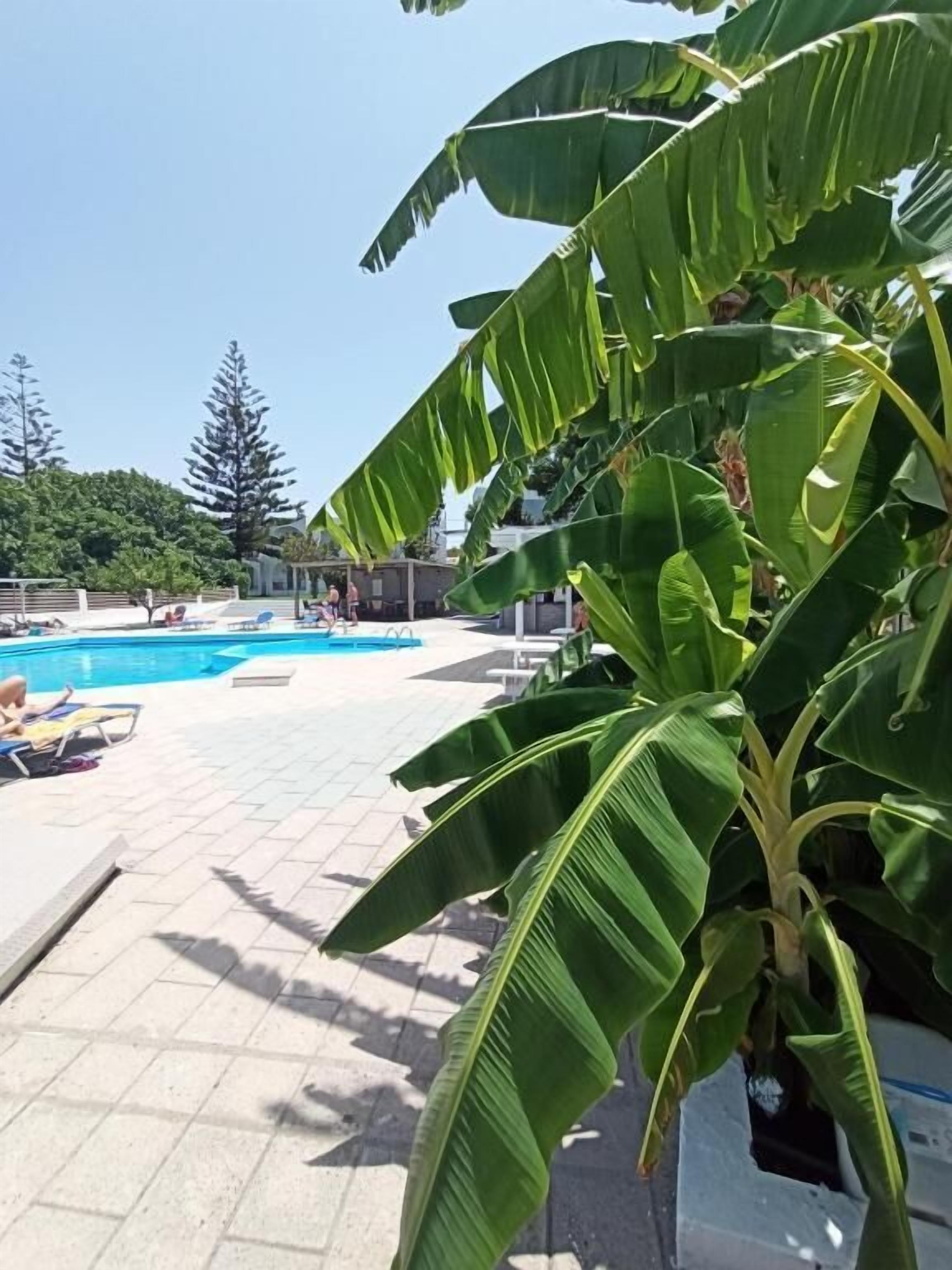 Photo - Summer Dream Hotel By Anayia All Inclusive Resorts