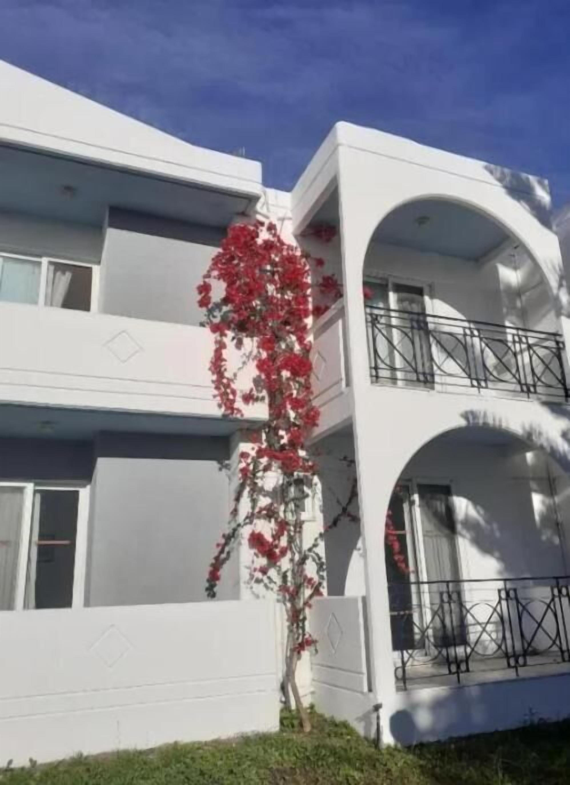 A white building with balconies and a red flowering plant in front.