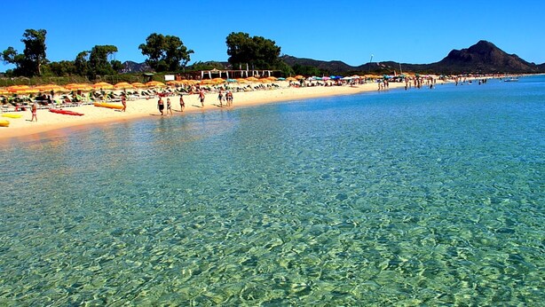 Una playa con agua cristalina, sombrillas y gente.