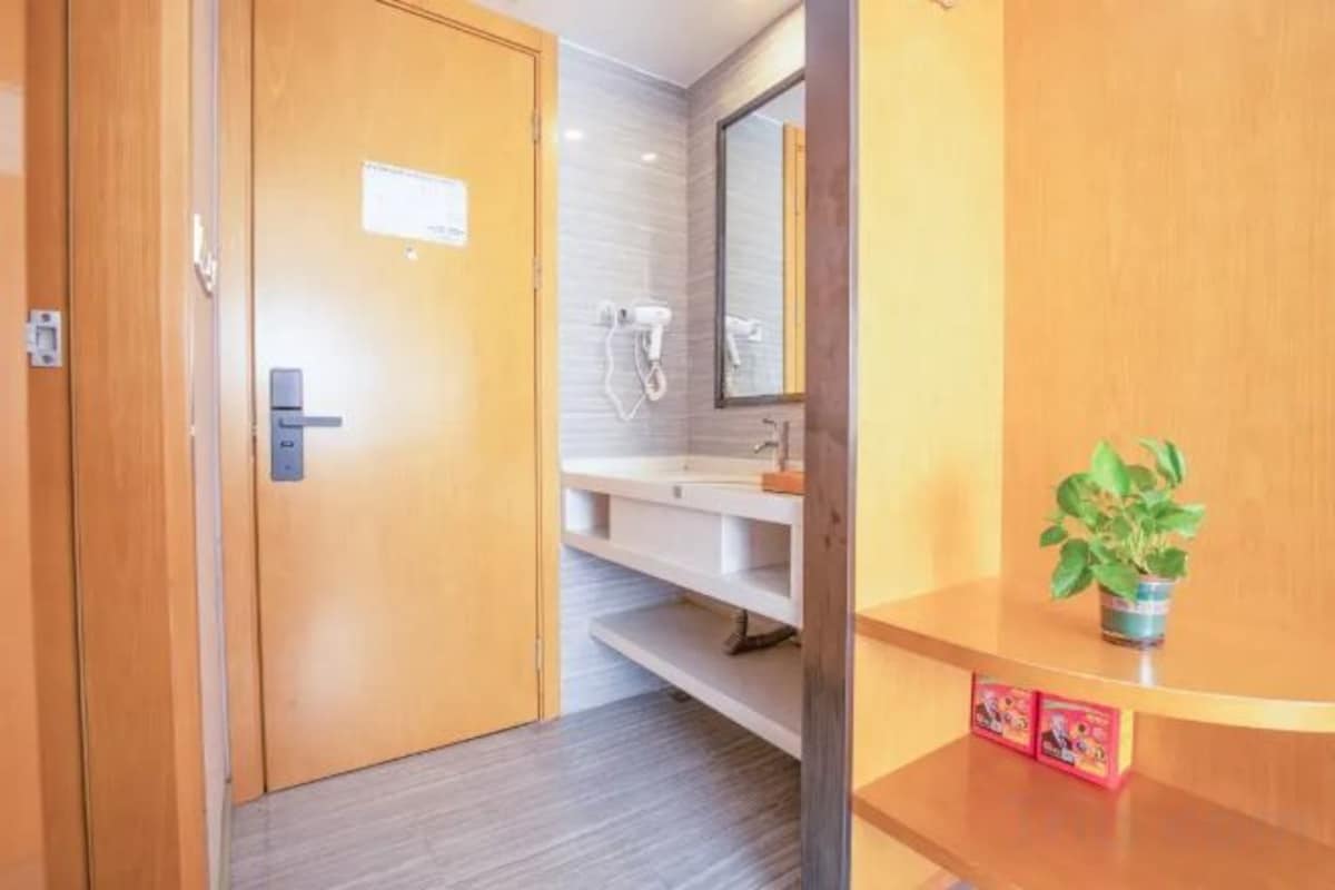 A hotel bathroom with a wooden door, a sink, a mirror, and a potted plant.