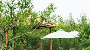 Property grounds - Phoenix Garden Hotel - Yantai (Yantai)