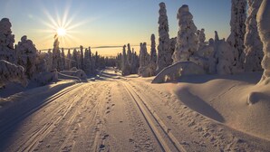 Un paysage enneigé, avec un ciel dégagé et un soleil brillant.